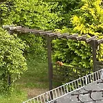 Romantic Garden *
