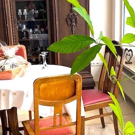 Romantic Garden Apartamento
