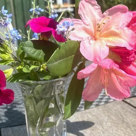 Romantic Garden דירה Junkerath