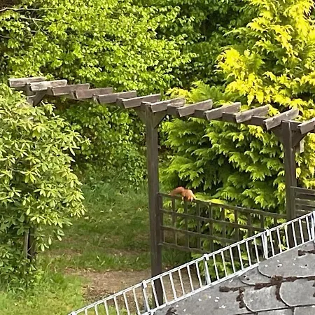 Charming In With Garden *