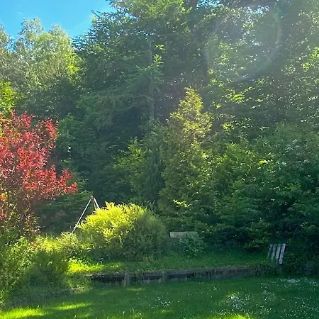 Апартаменты Romantic Garden