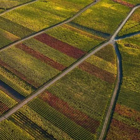 Romantic Garden Apartamento Junkerath