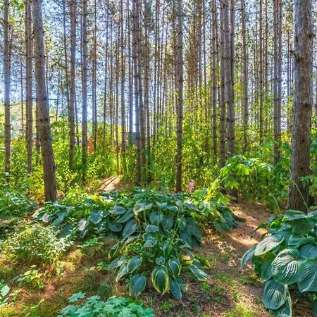 Romantic Garden Junkerath