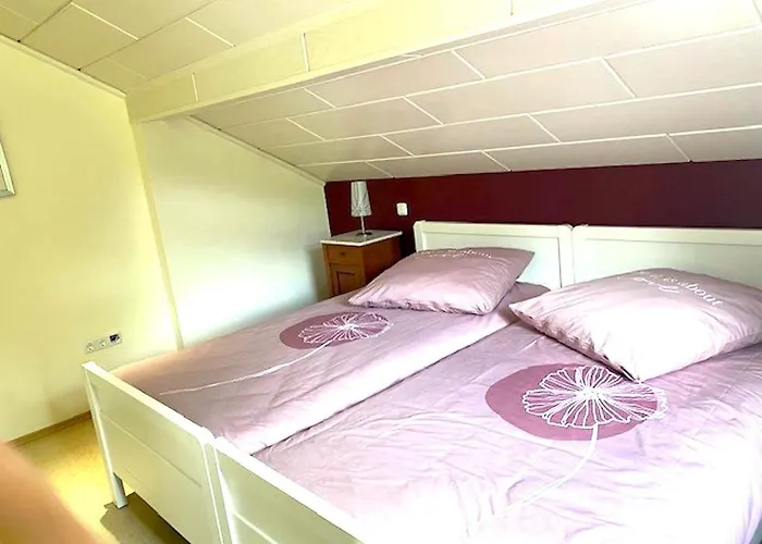 公寓 Romantic Garden Junkerath