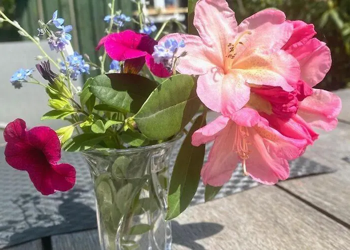 Romantic Garden 公寓 Junkerath