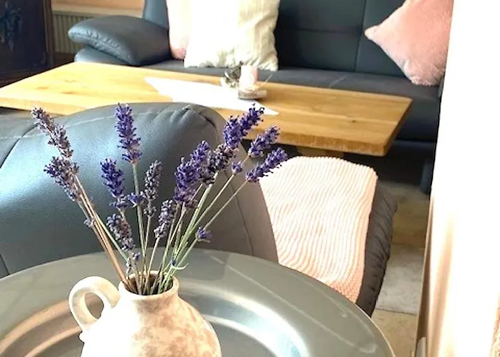 公寓 Romantic Garden Junkerath