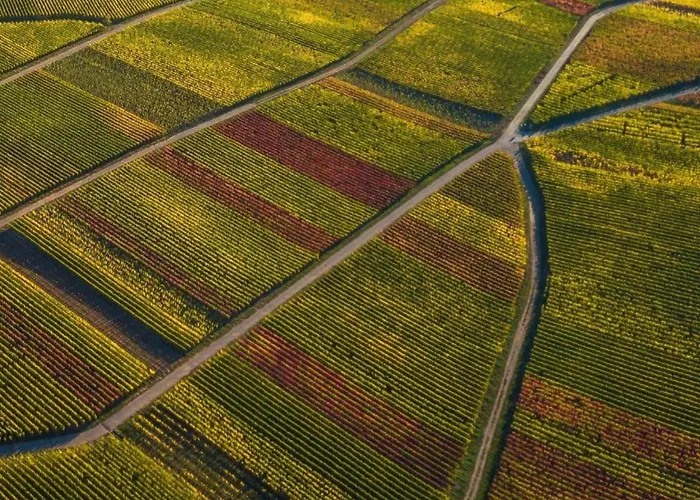 Romantic Garden 公寓 Junkerath