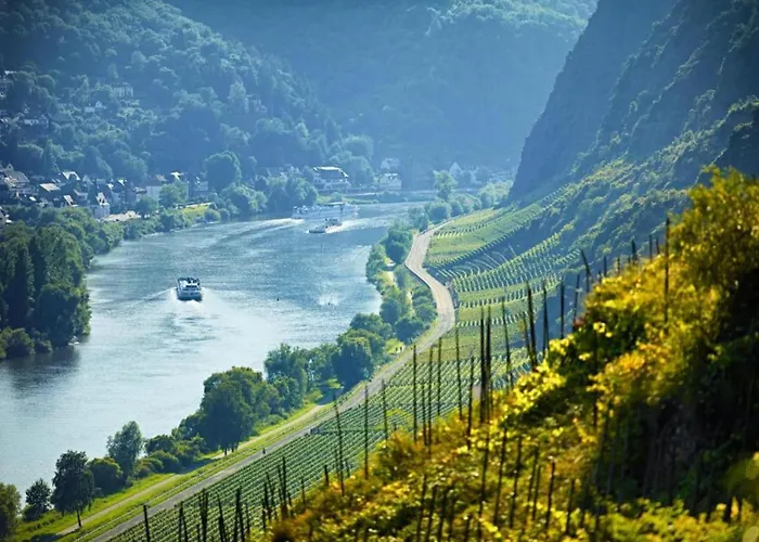 公寓 Romantic Garden Junkerath