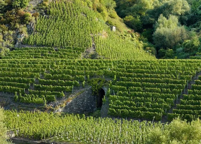 公寓 Romantic Garden